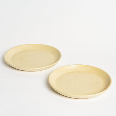 PASADDHI DINNER PLATE (SET OF 2)