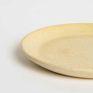 PASADDHI DINNER PLATE (SET OF 2)