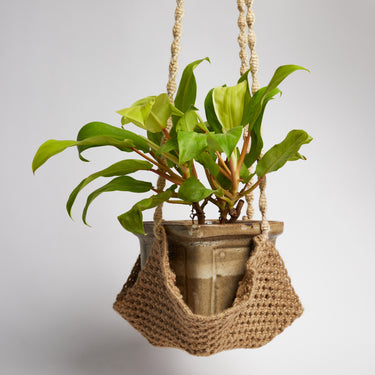 ATSI HANGING PLANTER