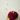 SALYAKA- PIN CUSHION